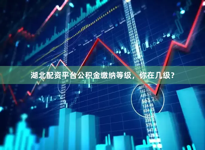 湖北配资平台公积金缴纳等级，你在几级？